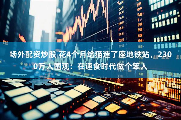 场外配资炒股 花4个月给猫造了座地铁站，2300万人围观：在速食时代做个笨人