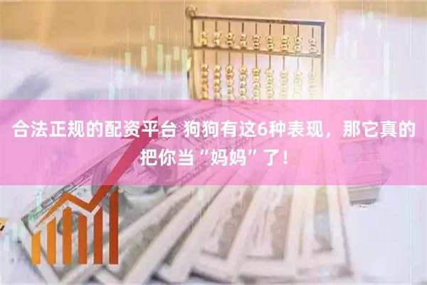 合法正规的配资平台 狗狗有这6种表现，那它真的把你当“妈妈”了！